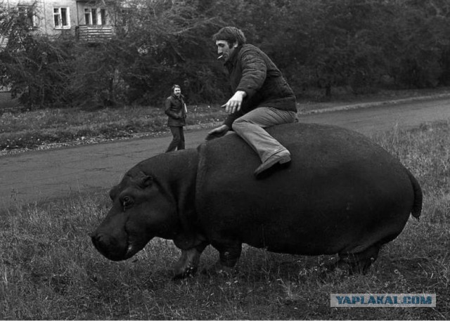 Я понятия не имею, что здесь происходит