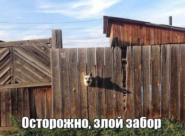 Подборка картинок