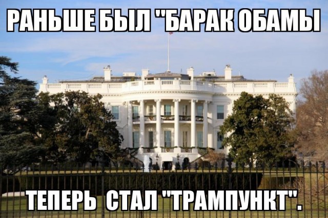 Высказывания и мысли в картинках