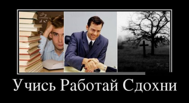 Подборка интересных и веселых картинок