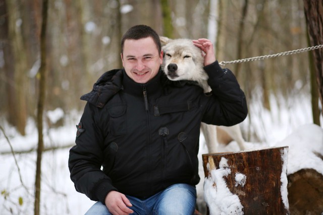 Снег. Лес. Волки. Фотоаппарат.
