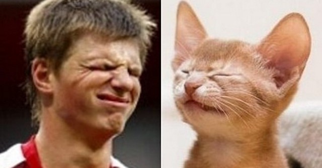 Один в один! 17 людей, животных и вещей, которые невероятно похожи друг на друга.