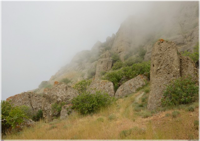 Меганом на Меганоме. КрымоГрафия.