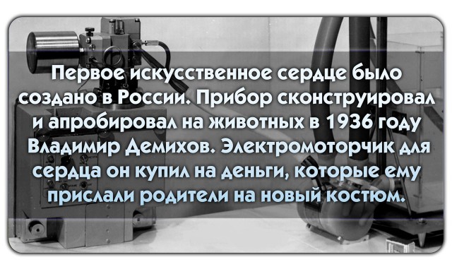 56 неожиданных фактов о большинстве которых вы не знали.