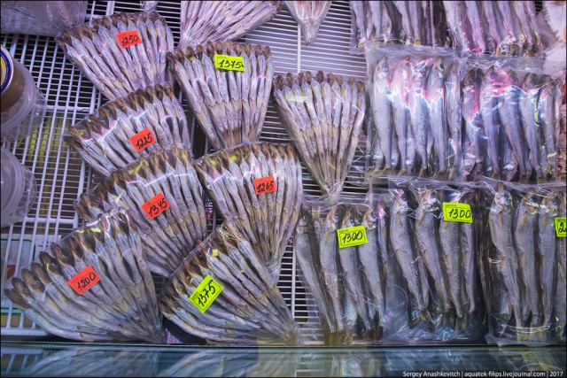 Сколько стоят икра, рыба и крабы на Сахалине