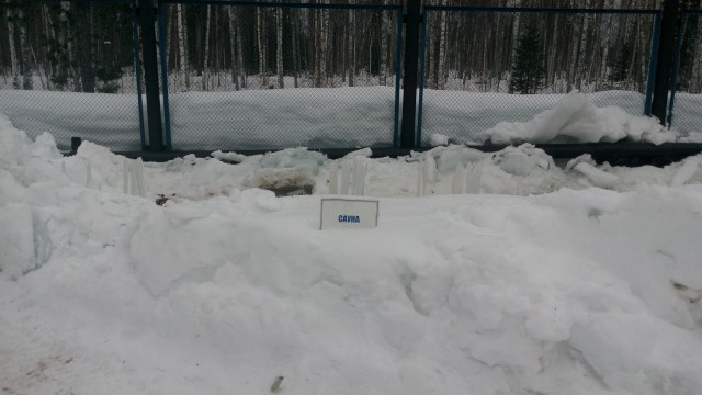 Подборка интересных и веселых картинок