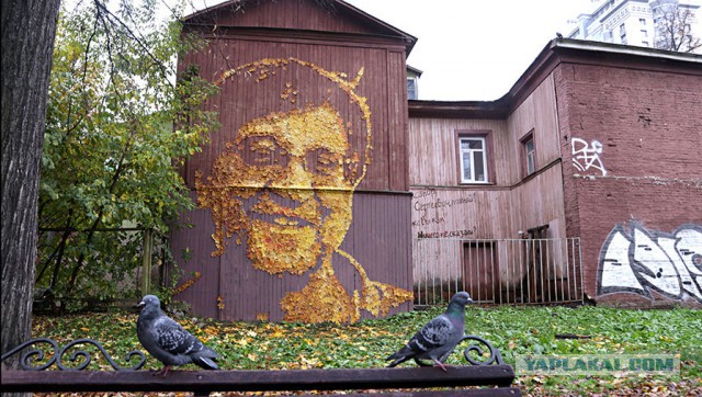 Уличный художник из Перми Александр Жунев умер этой ночью в поезде Москва-Пермь