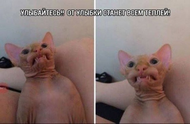 Специфический юмор