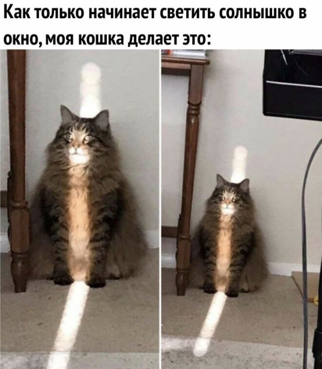 Немного картинок для настроения