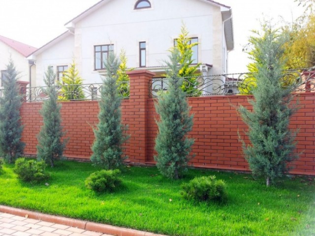 Неадекват
