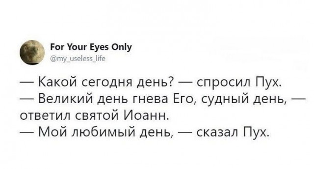 Кошка Мурка едет в дурку