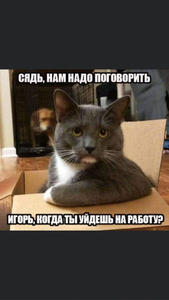 В Москве объявили всеобщий режим самоизоляции с 30 марта