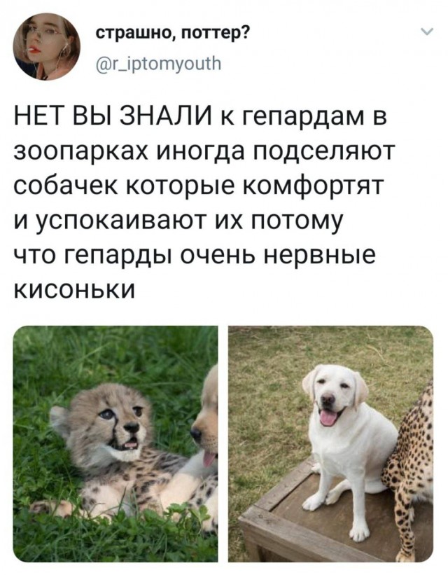 Немного картинок для настроения 02.04.20