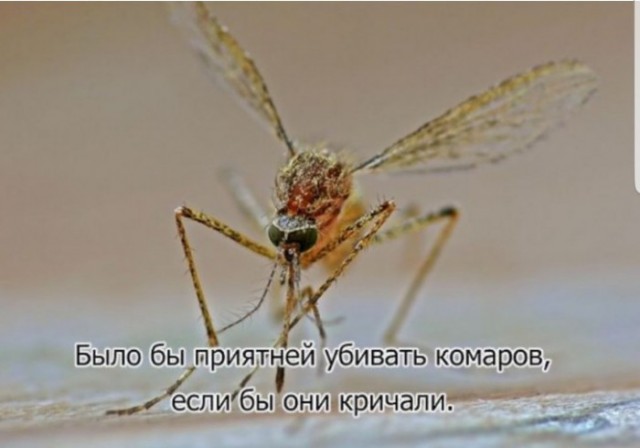 Фотки и картинки: юморные и красивые, забавные и милые 30.09.20