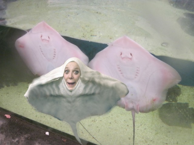 Изобразили