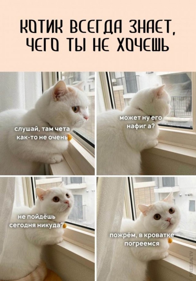 Мадам и месье, ещё раз бонжур