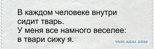 Весёлый полтишок 17.03