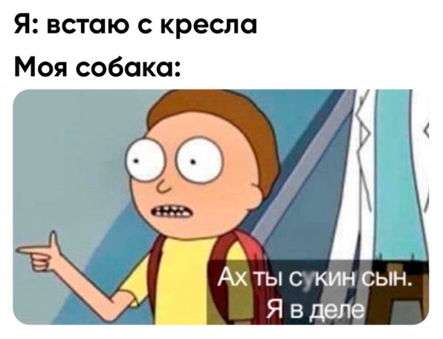 Весёлый полтишок 20.03