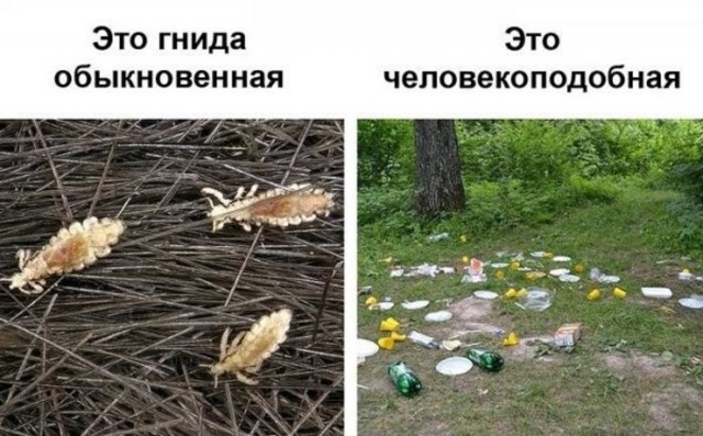 Весёлый полтишок 6.06