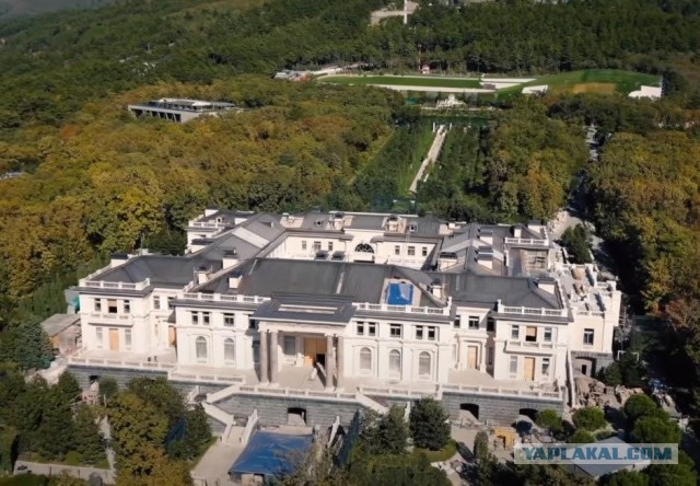 Всё о начальнике УГИБДД ГУ МВД по Ставропольскому краю Алексее Сафонове
