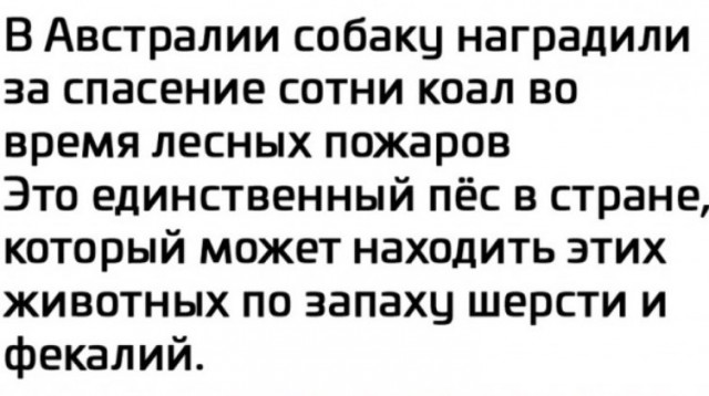 Так себе картинки 03.11.21