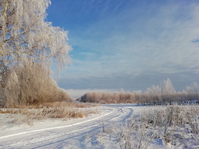 Всяческие картинки 08.12.2021