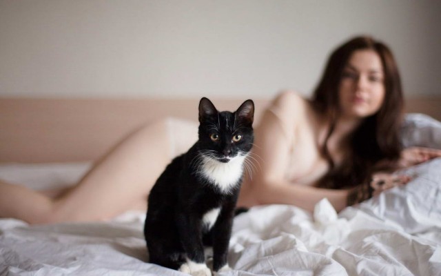 Девушки котовторника
