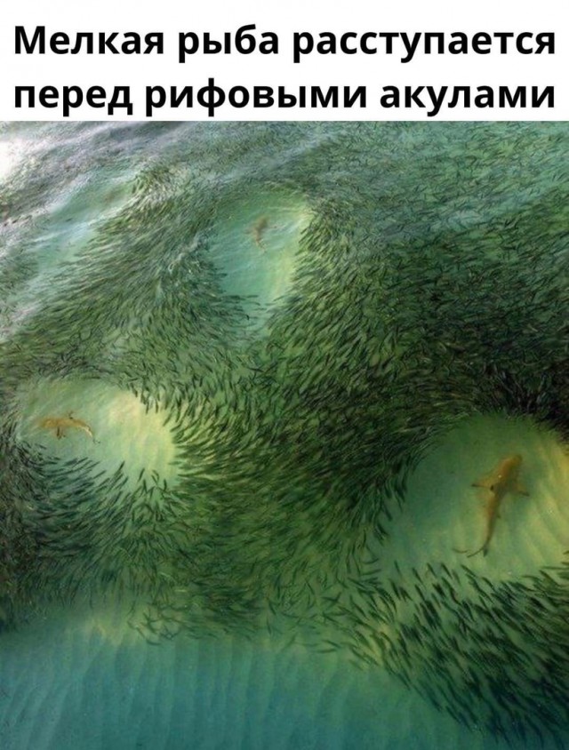 Так себе картинки 11.02.22