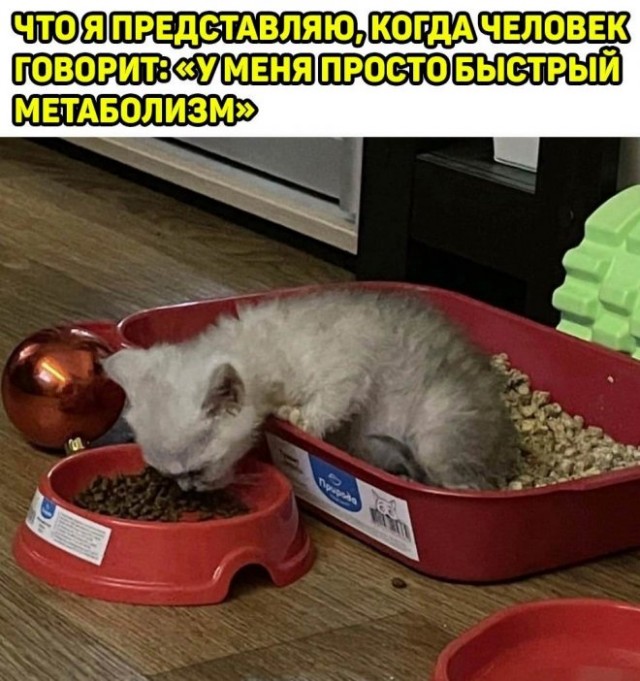 Картинки и мемы для настроения - 21