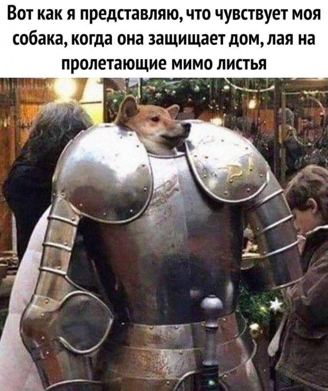 Картинки и мемы. Выходные близко...