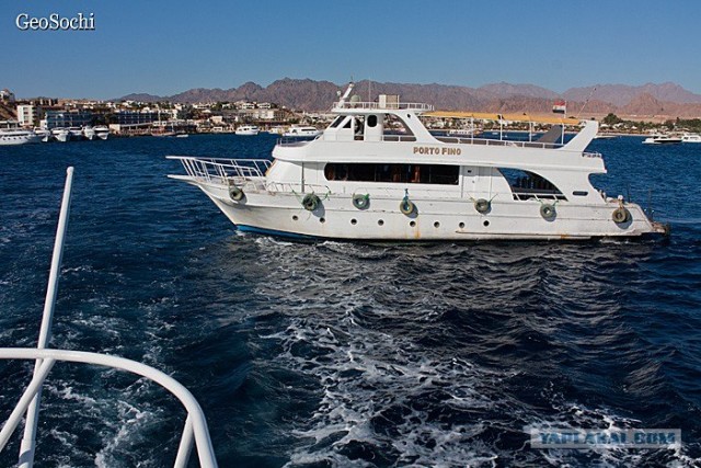 Синайские приключения. Шарм-эш-Шейх и окресности