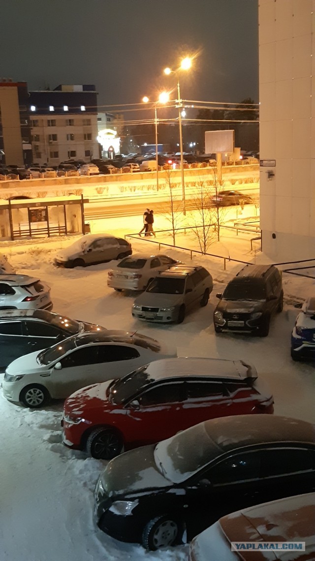 В Москве женщине скинули стул на лобовое стекло машины за то, что она загораживала проезд жильцам