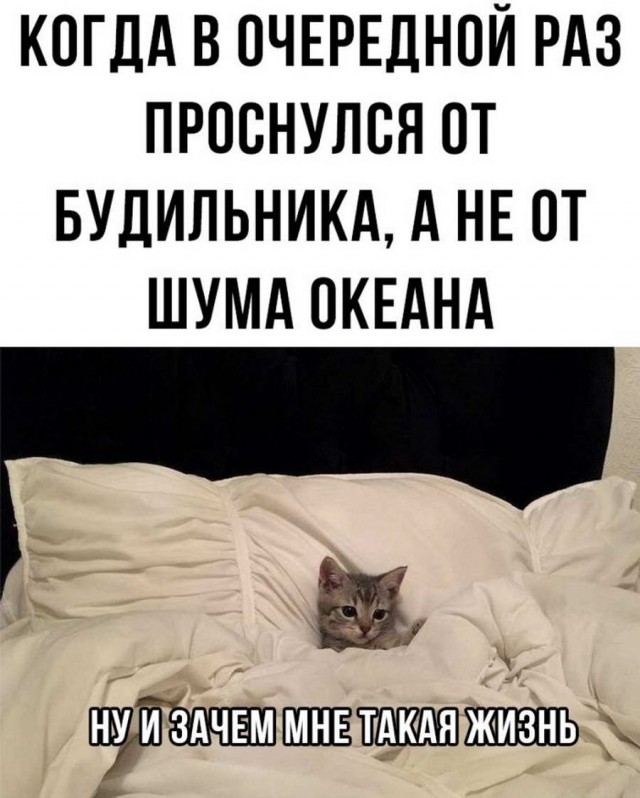 Картинки и мемы. Выходные близко...