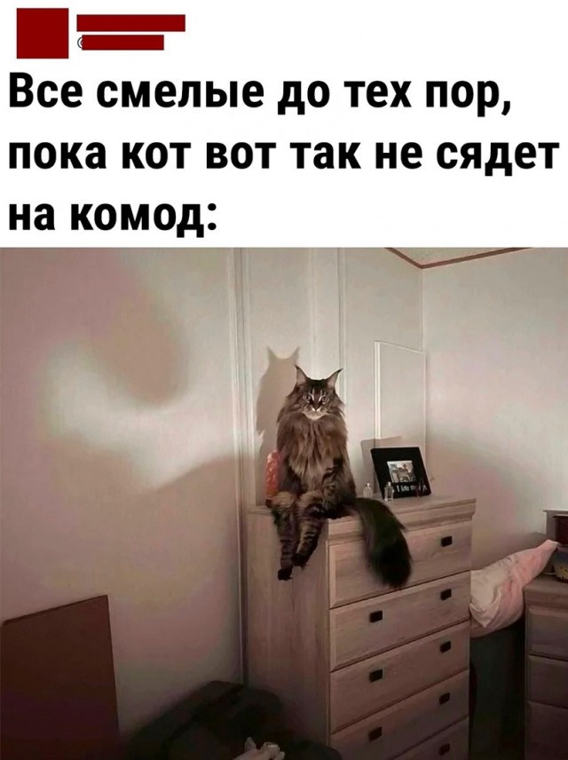 Так себе картинки 23.06.23