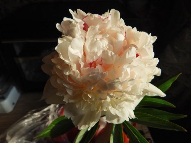 Природа Южного Урала