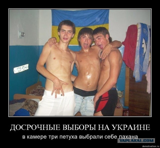 впечатляет ебут она говорит по телефону могу много