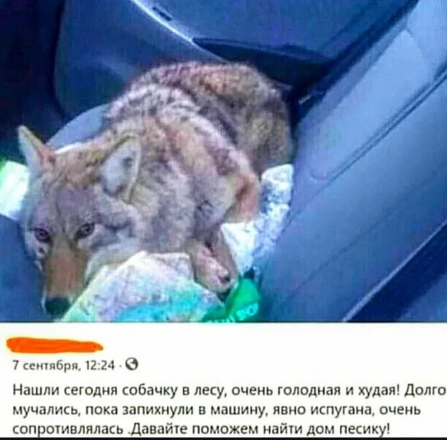 Всё... теперь я буду у вас жить