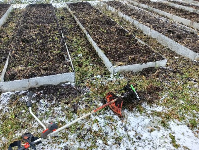 Конкурс страшных рассказов на ЯП к 31 октября. Кровь, кишки, ужасы!