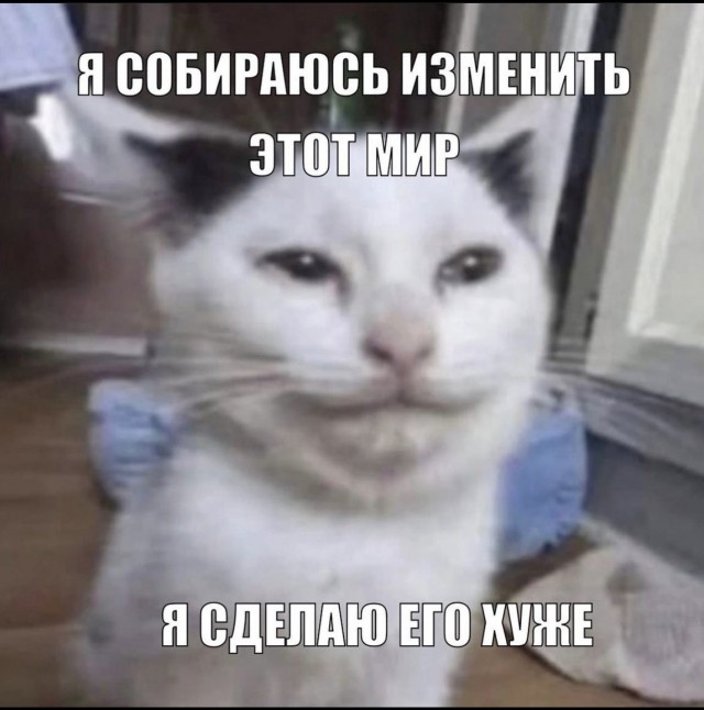 Всего понемногу. От 28.11.23