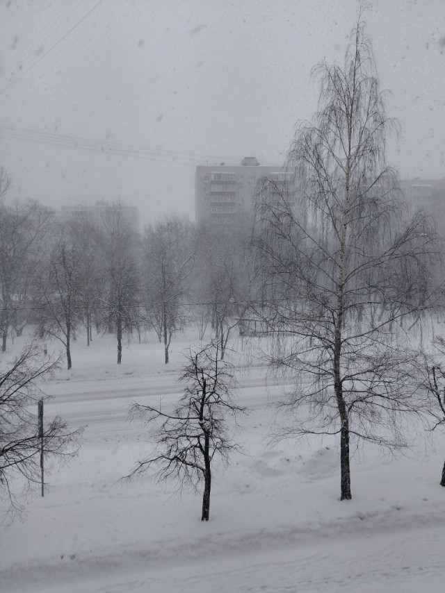 ККК № 29 «Снежная сказка»