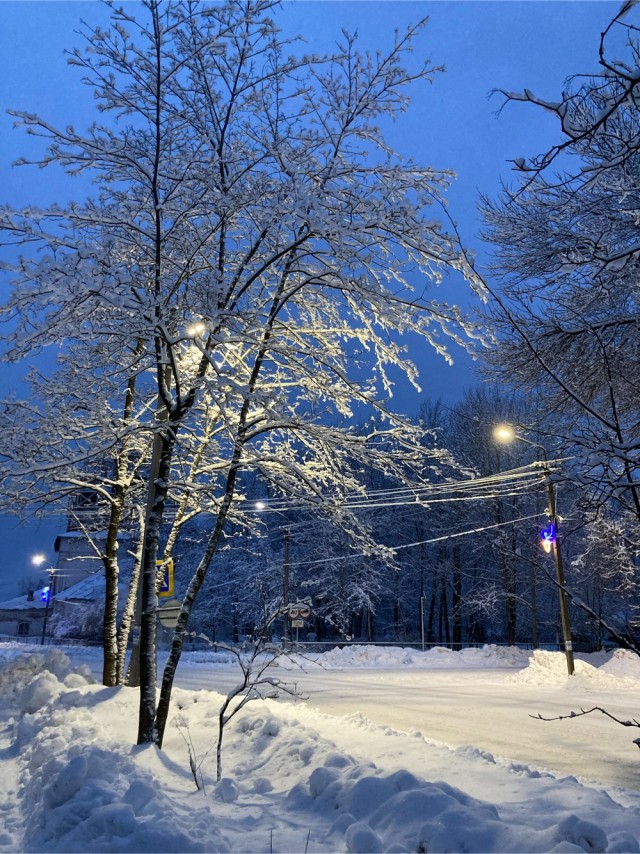 Зимняя красота
