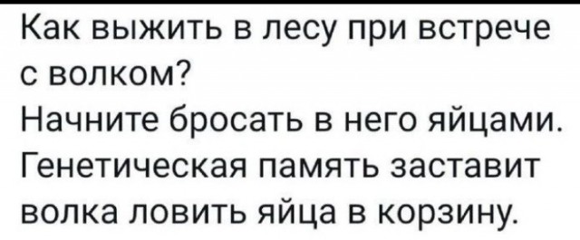 Всего понемногу. От 24.01.24