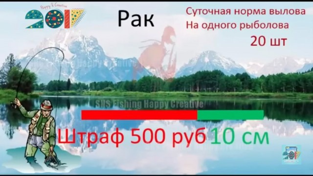 Поймал — отпусти! Какие новые штрафы ждут рыбаков любителей в 2024 году