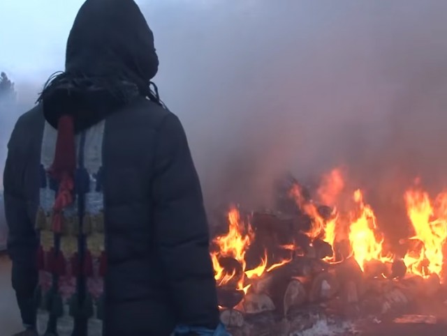 В Израиле устроят жертвоприношение, предсказанное Библией. Его готовят сектанты, которые хотят приблизить конец света