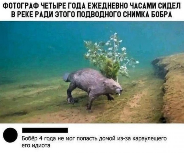 Наскрябыл немного. Часть 4