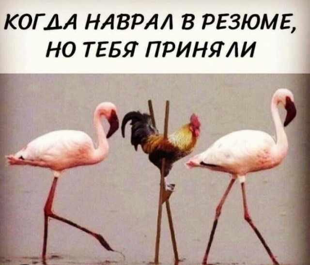 Кладет на совесть