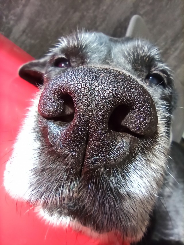 Давайте пенсионеров сюда