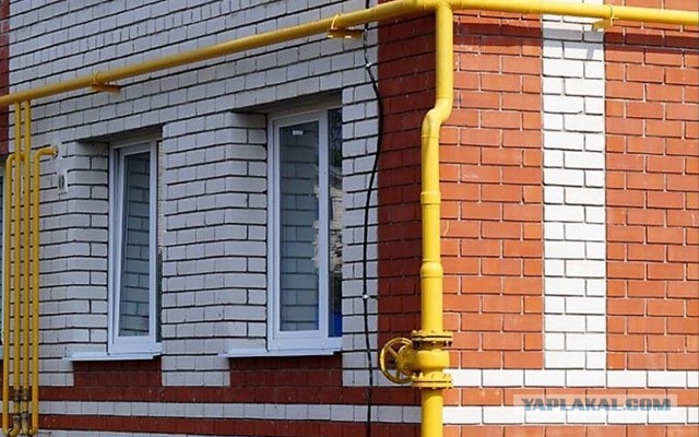 Мосгаз или создание новых кормушек