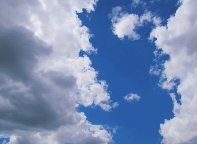 Факты про естественное и отвратительное в человеческом теле