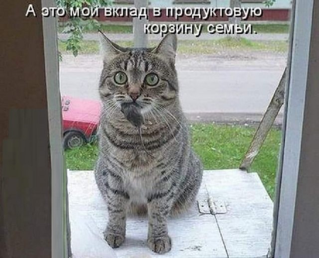 Картинки разные с надписями и без